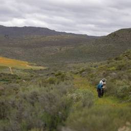Corridor BioBlitzes